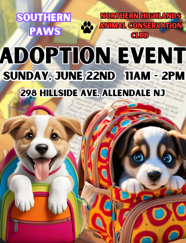 Pet Adoption