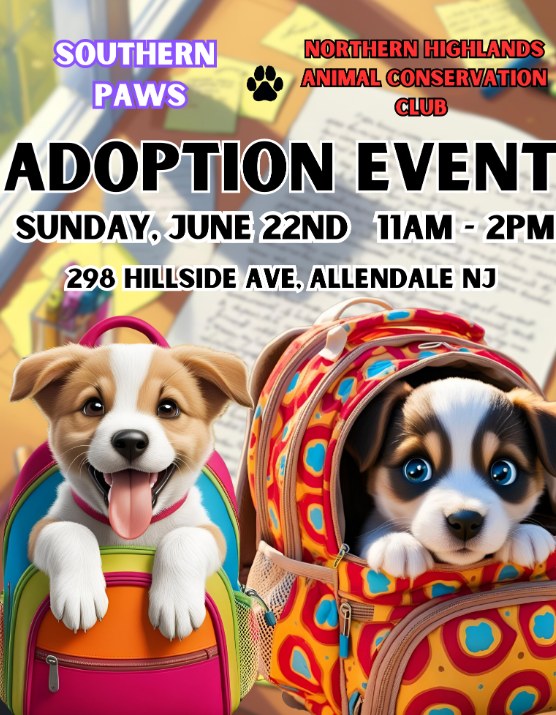 NH Adoption