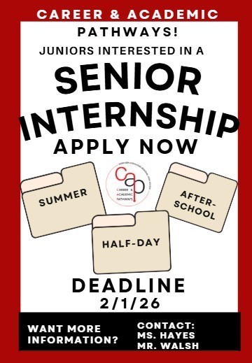 Senior Internships