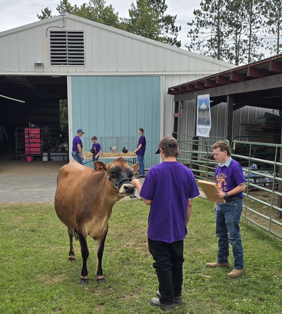 Lucas dairy judge
