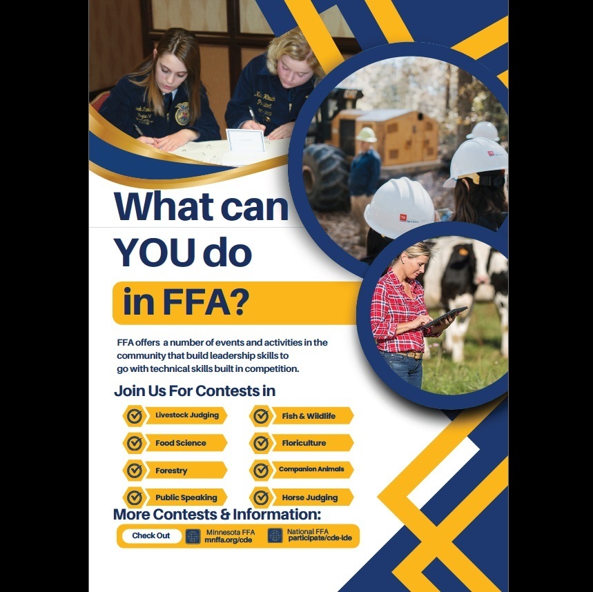 CDE & LDE Flyer