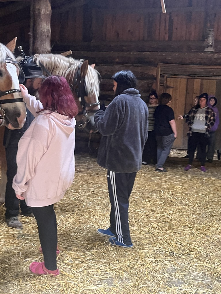 Students saying hello to horses