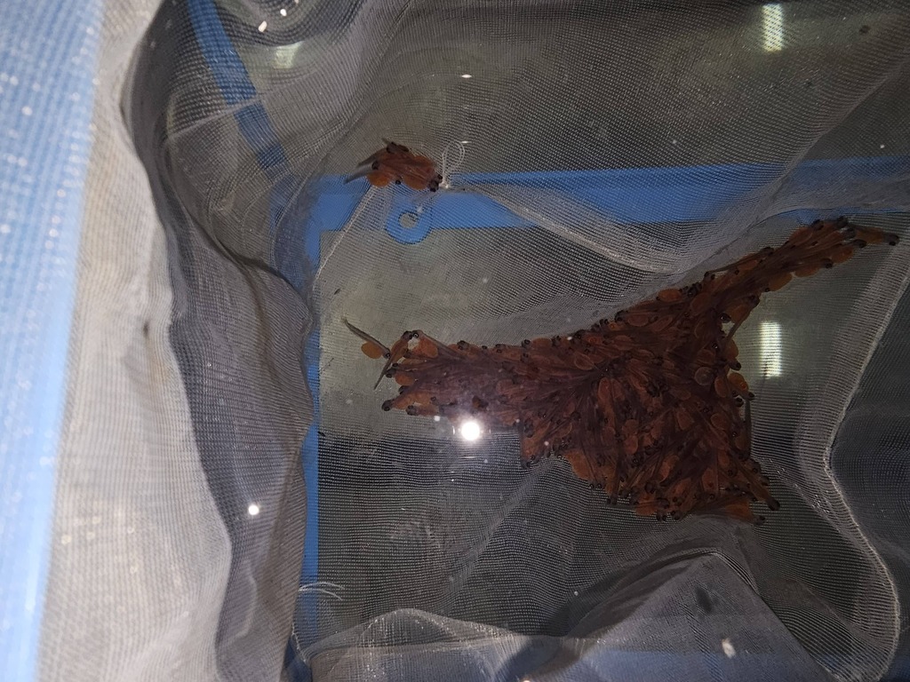 633347470_10162650934204010_6532539791403212260_n