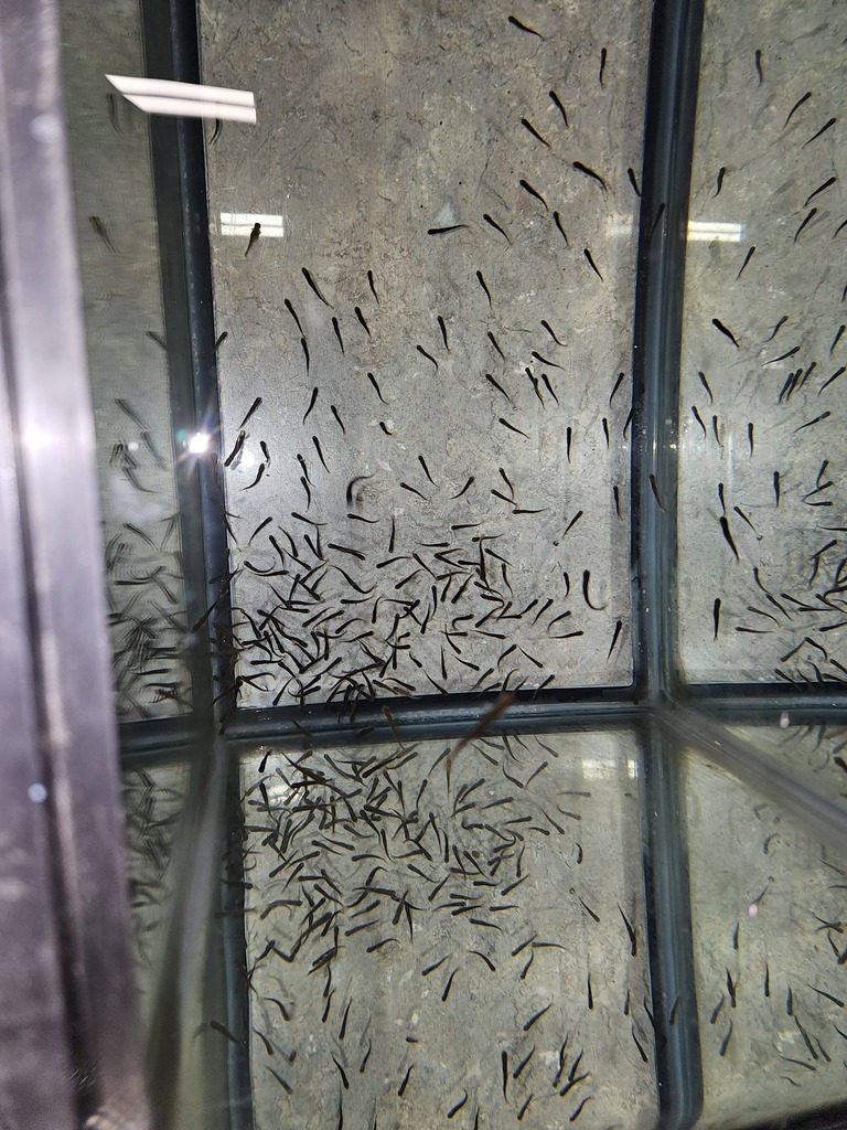 633274510_10162650934659010_5527956088359894449_n