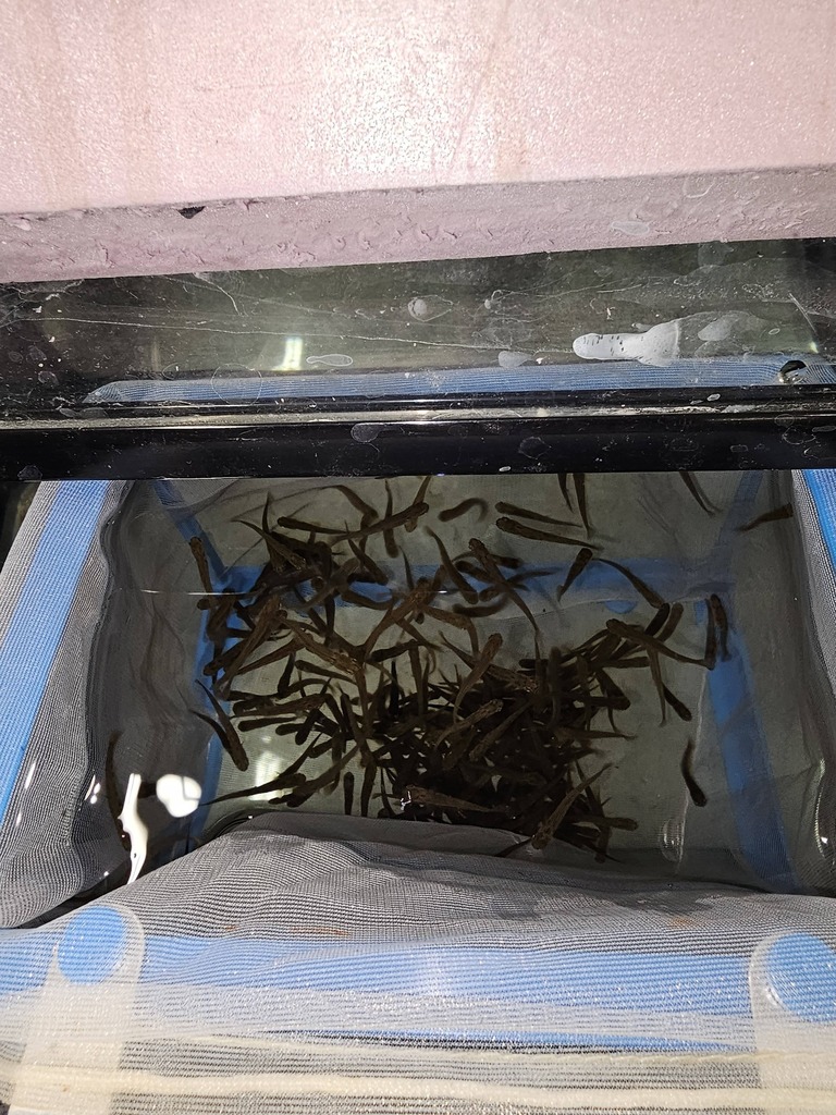 634026056_10162650934444010_5775686220103689800_n