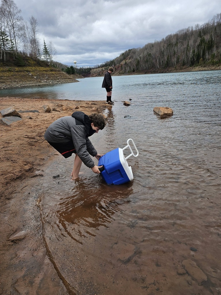Trout in the classroom