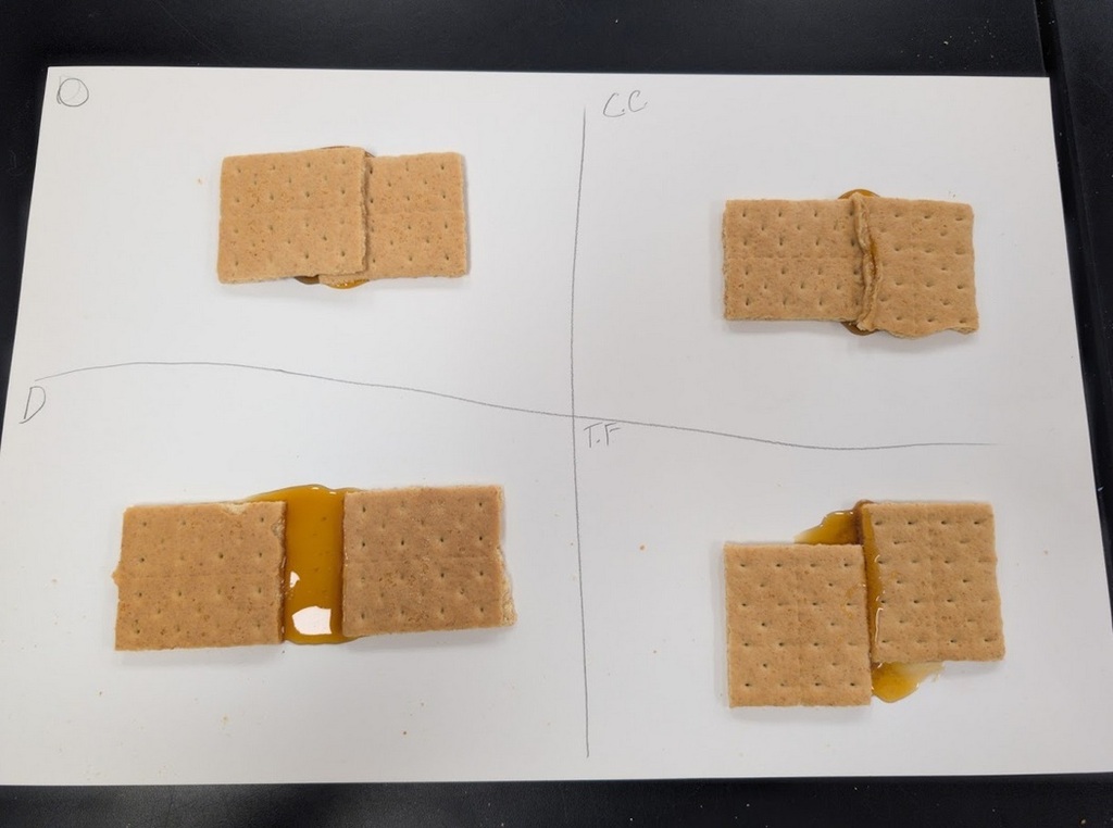 Gram Cracker Crusts