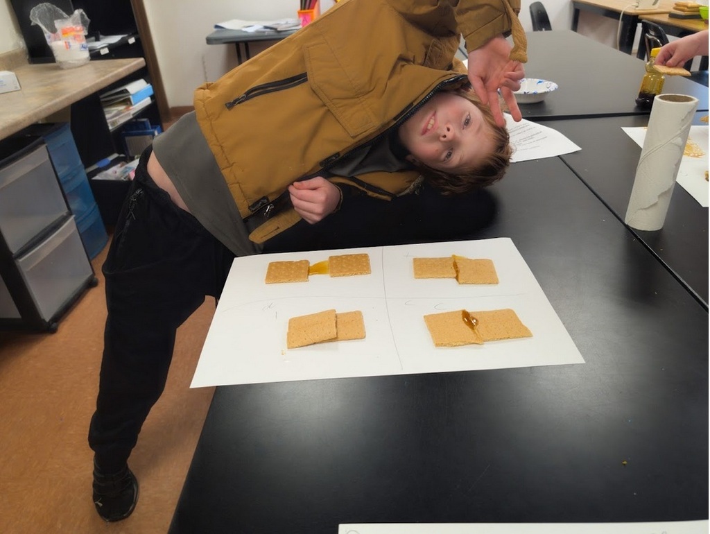 Gram Cracker Crusts