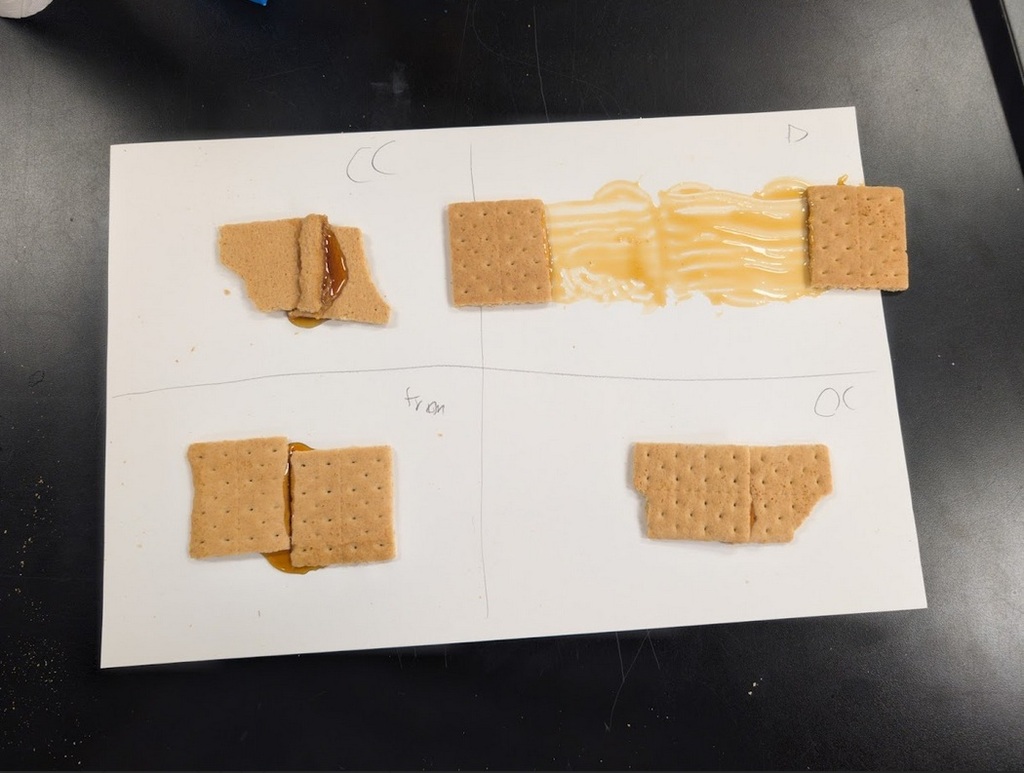Gram Cracker Crusts