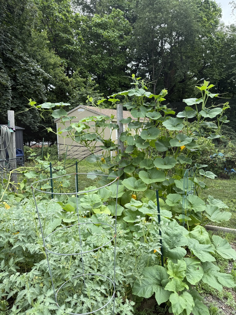 it's a jungle out there