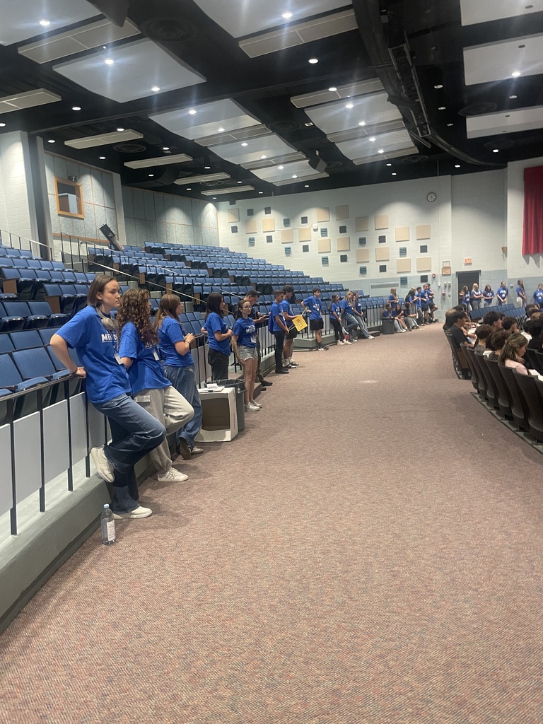 Peer Mentors
