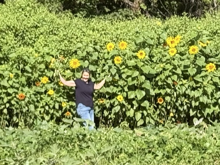 flowers