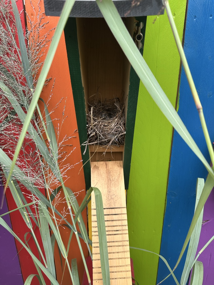 nest