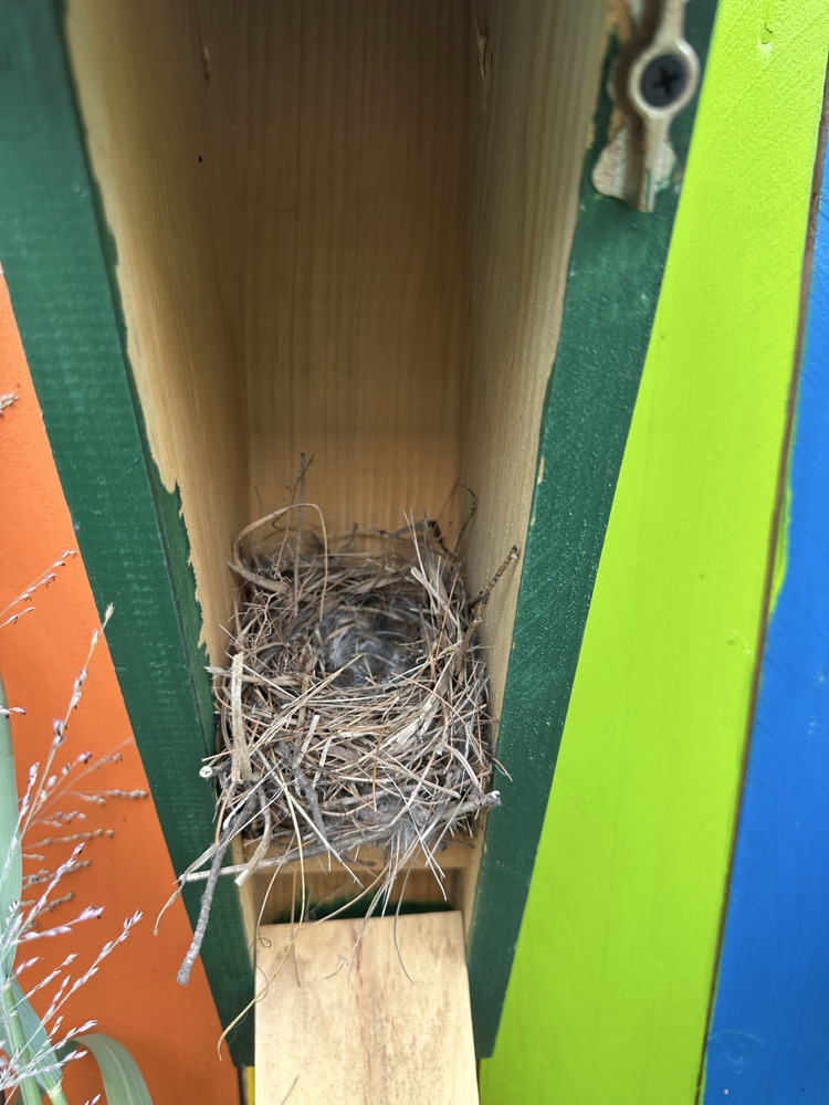 nest