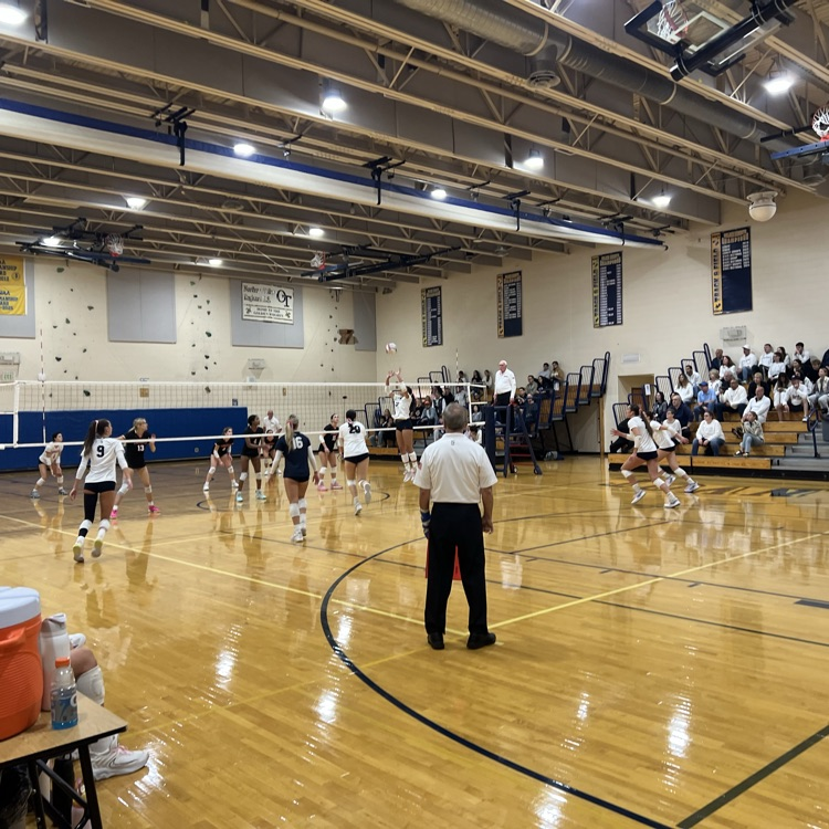 Volleyball defeats Tenafly to move to the finals 