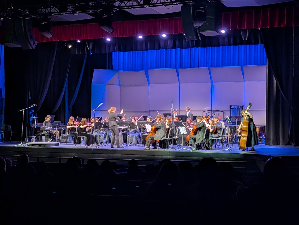 NVOT String Orchestra 
