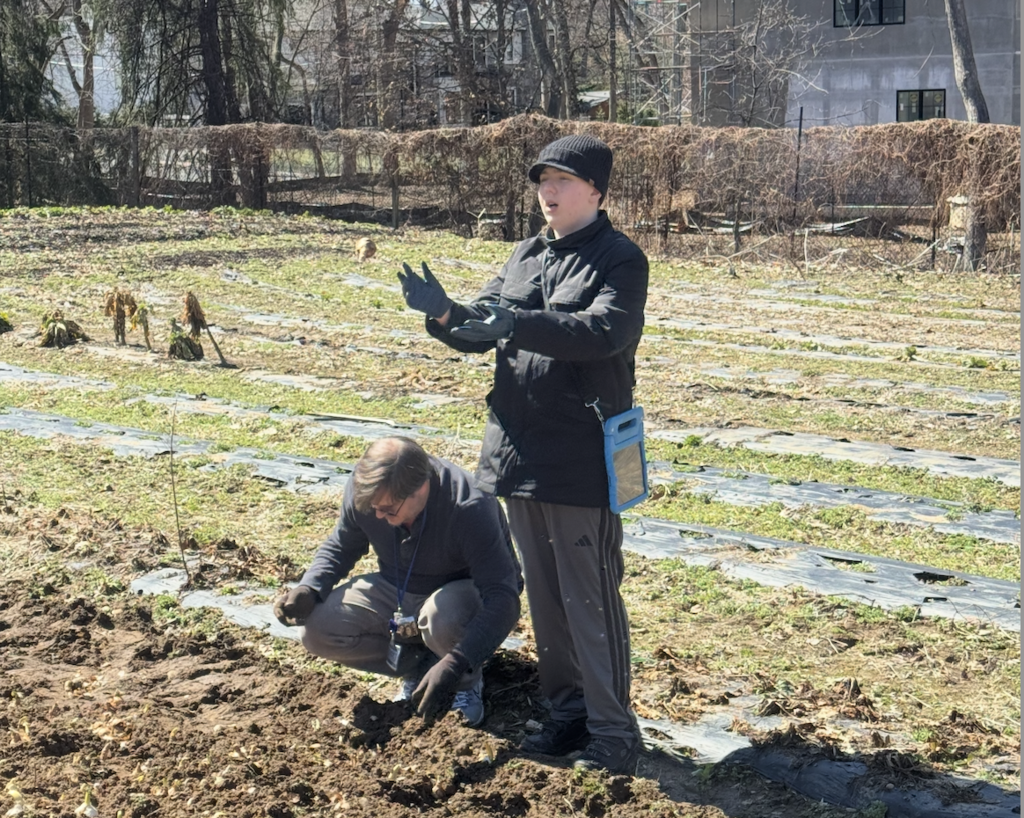 Planting Tulips & Alium bulbs