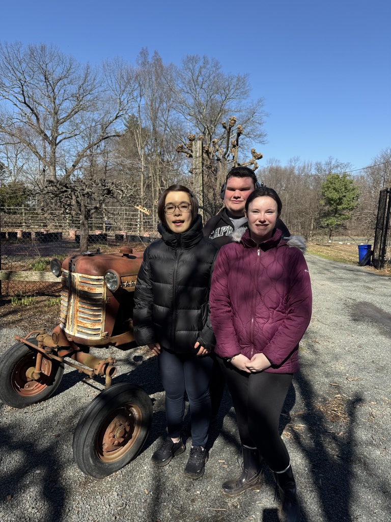 Planting Tulips & Alium bulbs