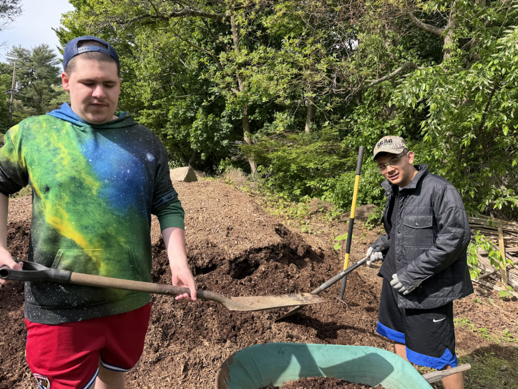 Mulching at MacBain