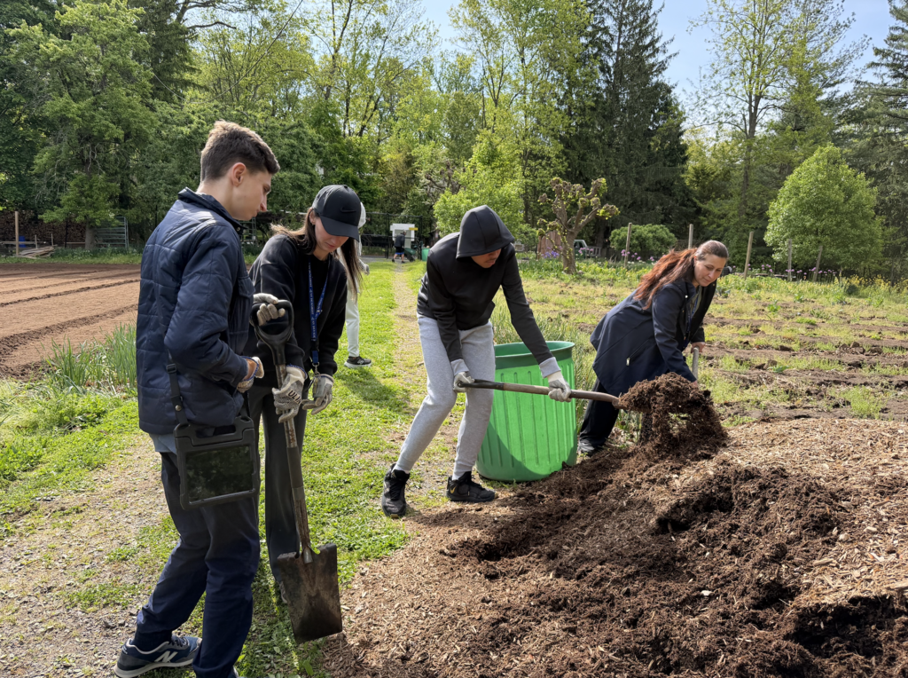 Mulching at MacBain