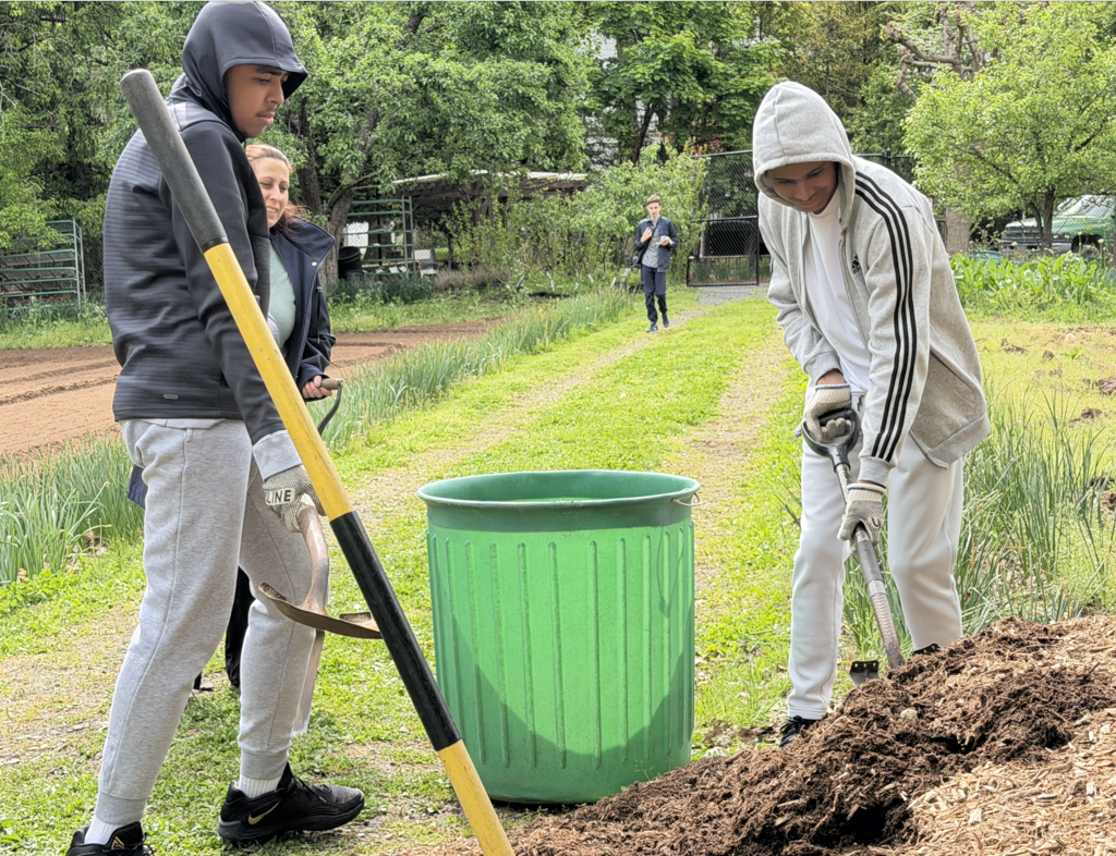 Mulching at MacBain