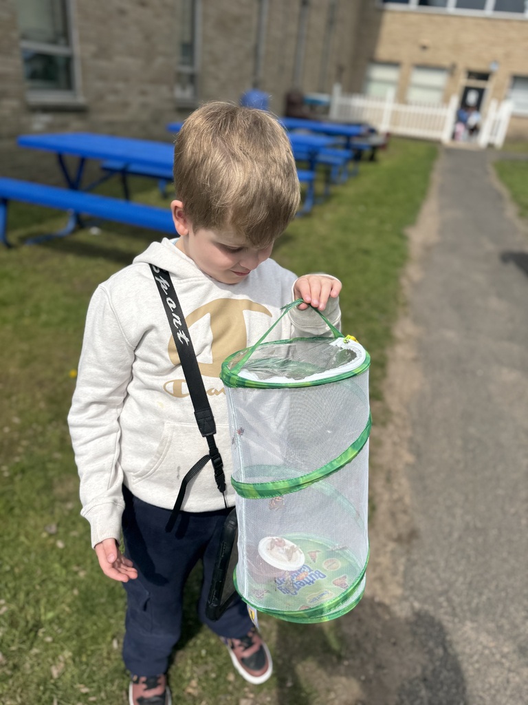Butterfly Release