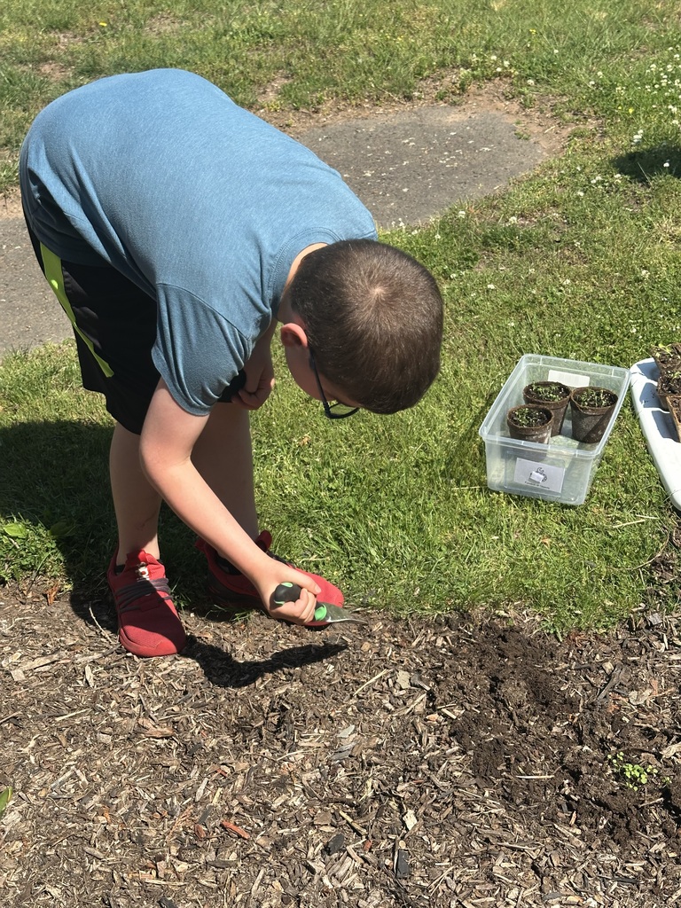 Planting 