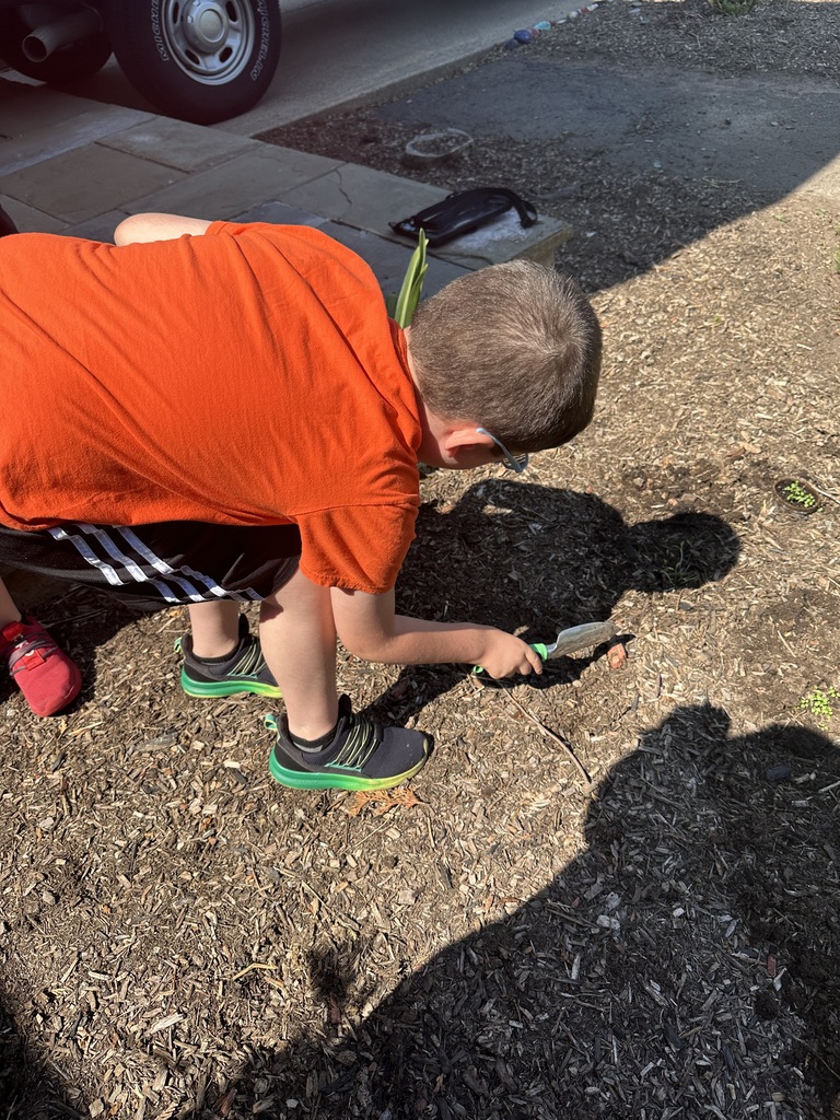 Planting
