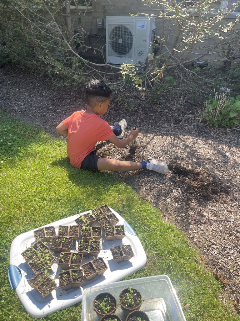 Planting 