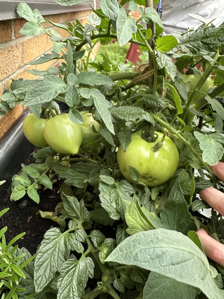 Growing together