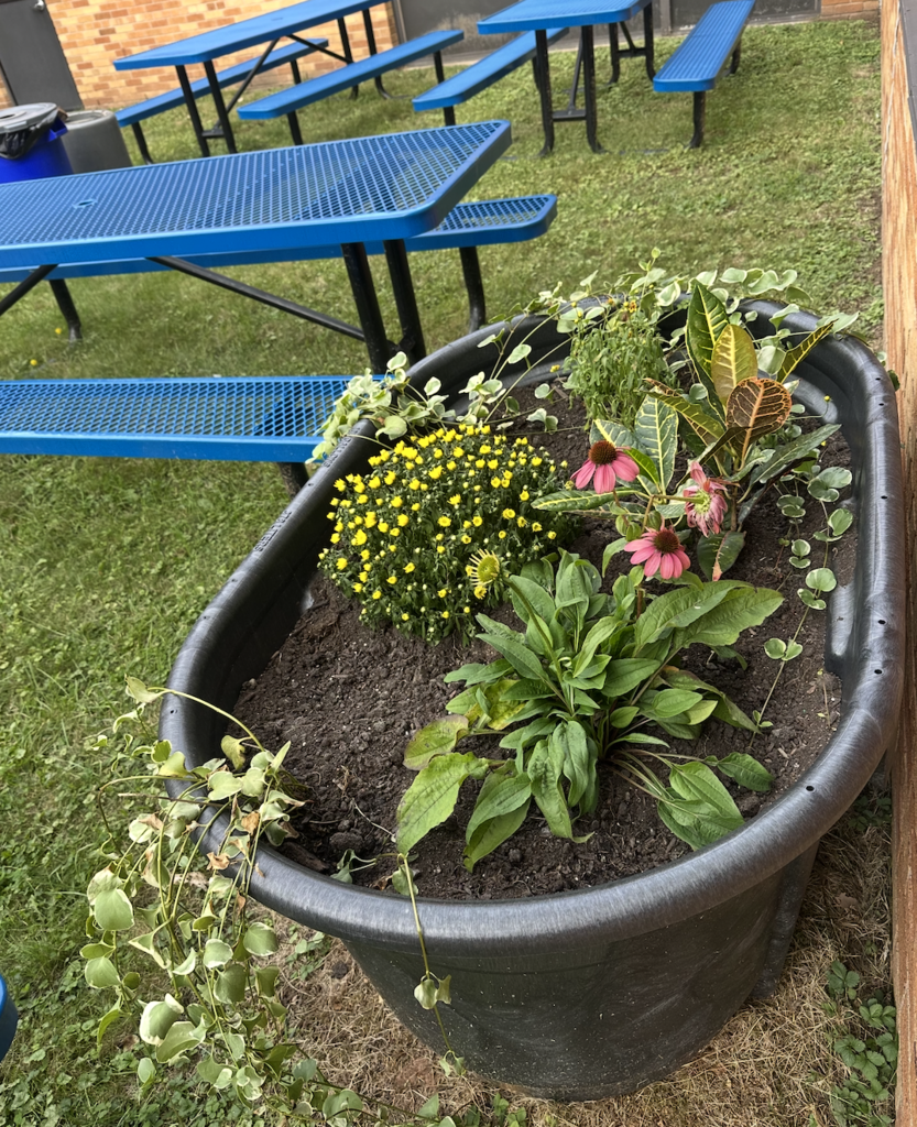 school beautification