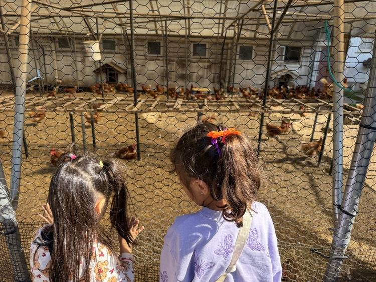 metropolitan farm