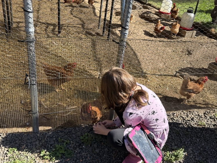 metropolitan farm