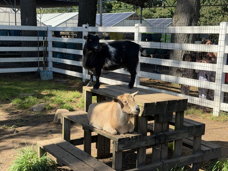 metropolitan farm