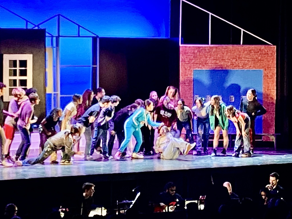 NVD Performing Arts Presents the Musical, Freaky Friday!
