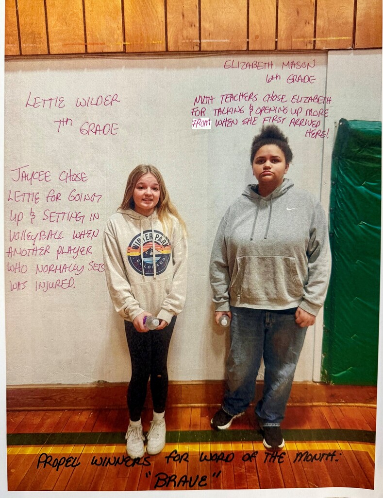 Propel winners for word of the month BRAVE!