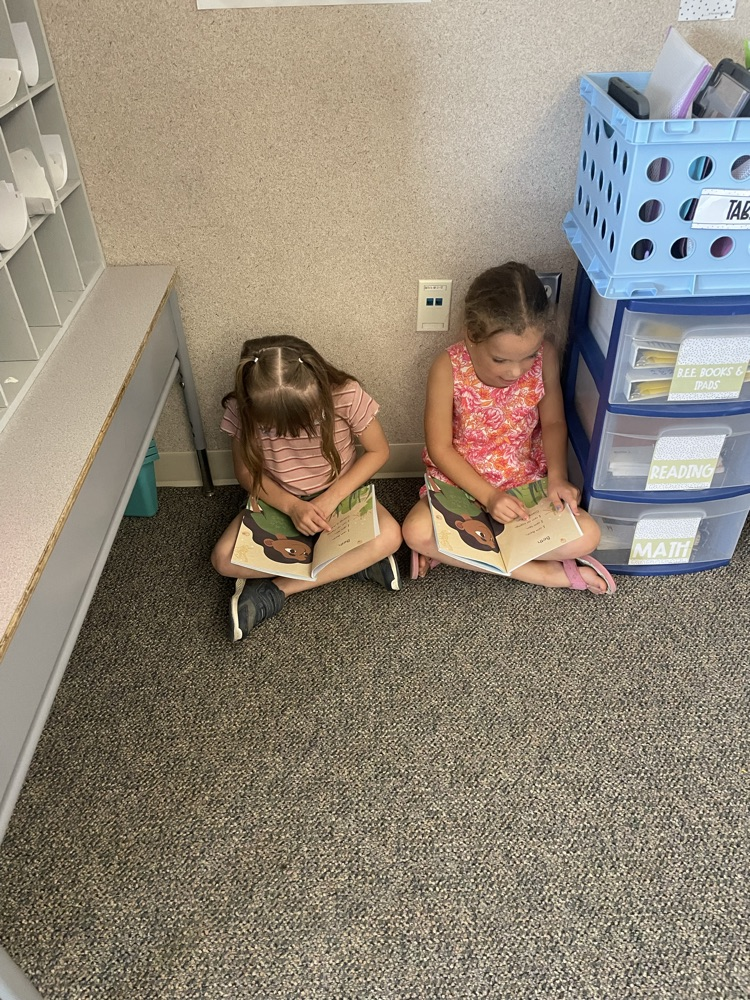 1st Grade