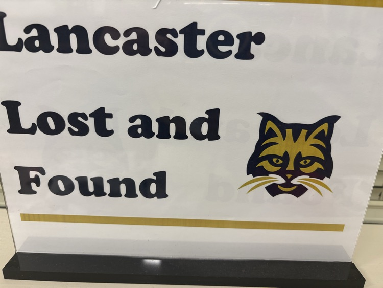 lost and found