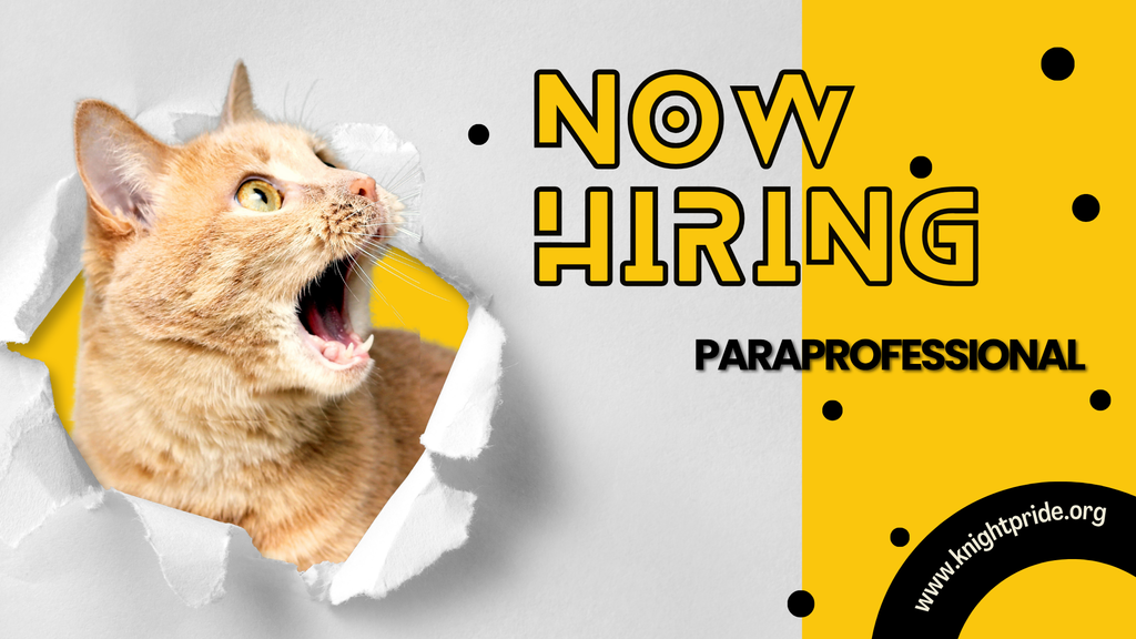now hiring paraprofessional www.knightpride.org in black gold and white with a photo of a cat looking surprised