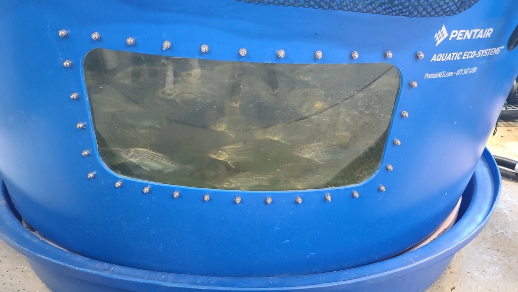 Aquaculture field trip