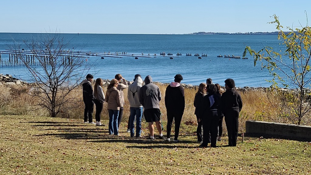 Students looking at the farm