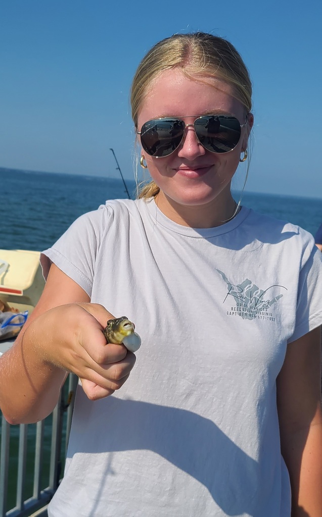 pufferfish caught