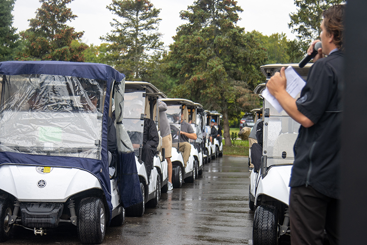 Image of golf carts.