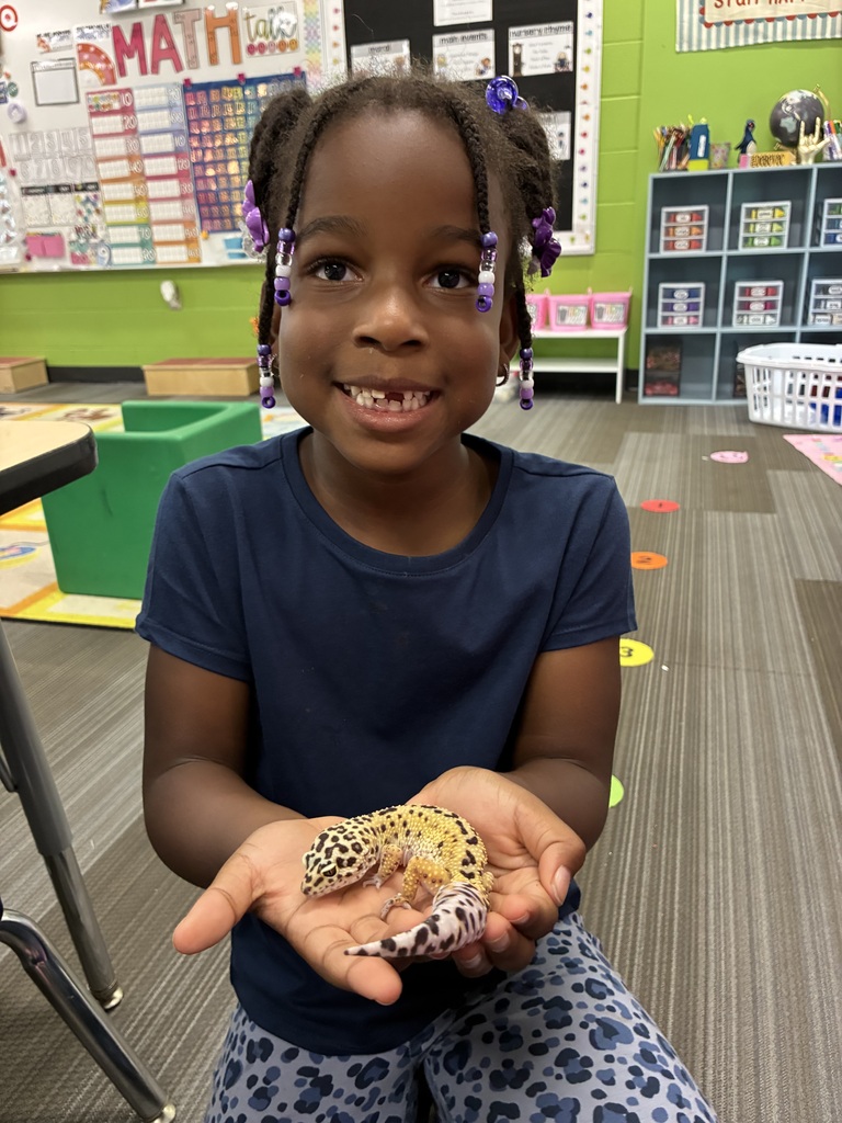 Meet Pickles the Gecko! 🦎 