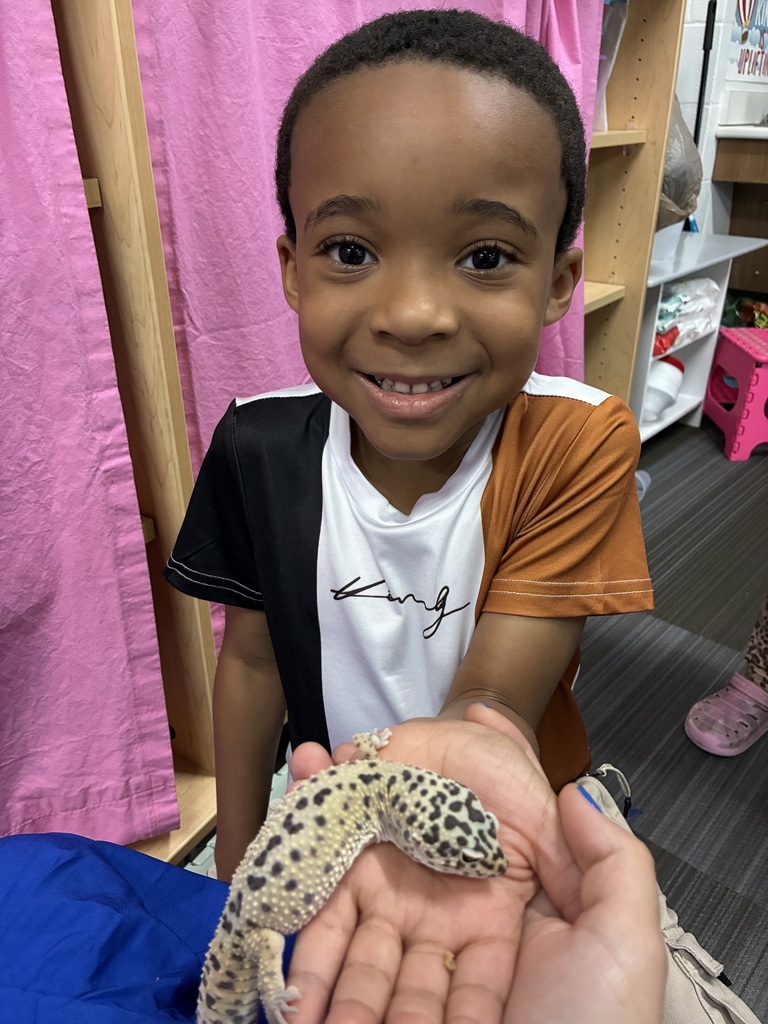 Meet Pickles the Gecko! 🦎 