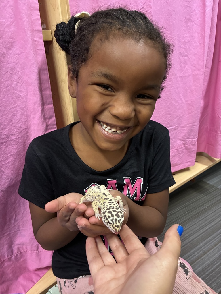 Meet Pickles the Gecko! 🦎 