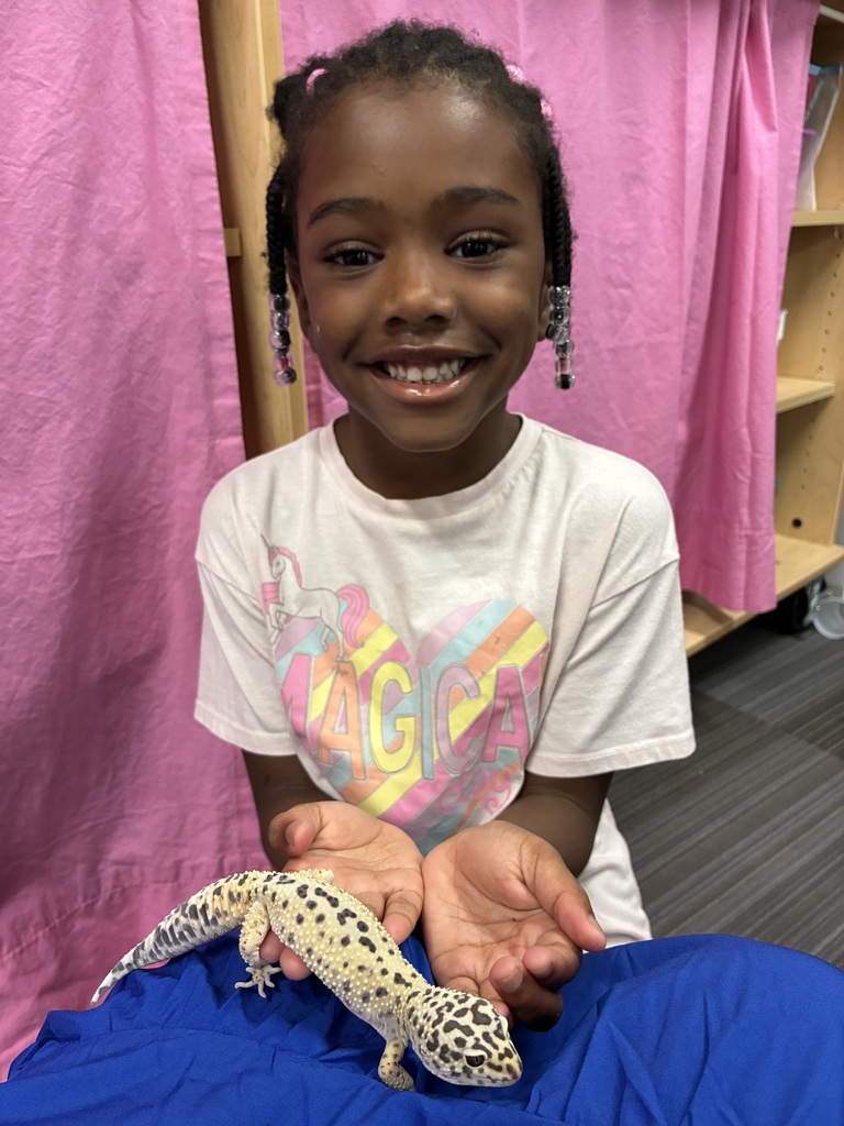 Meet Pickles the Gecko! 🦎 