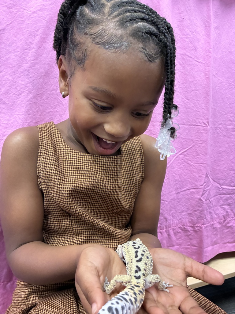 Meet Pickles the Gecko! 🦎 