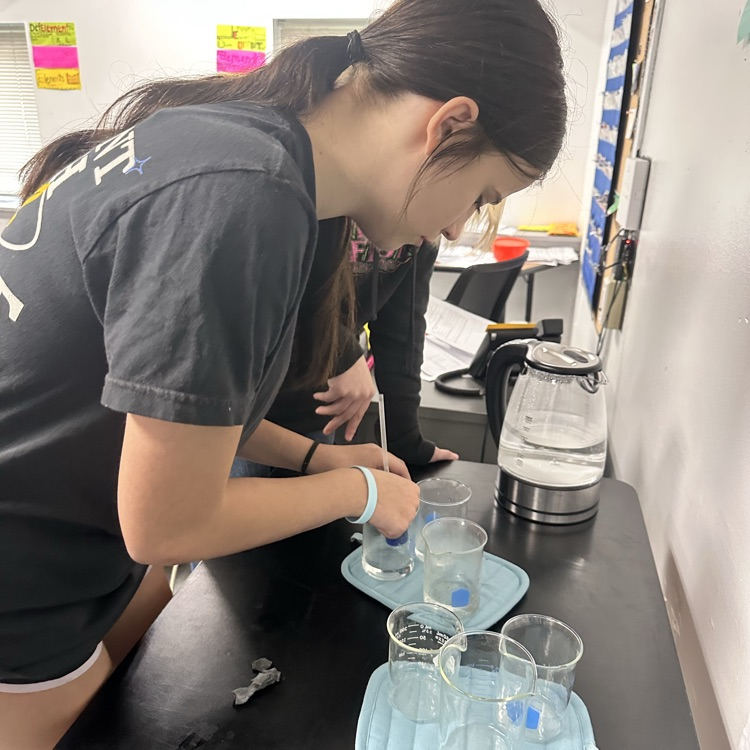 Thermometer lab at Valley Middle School 
