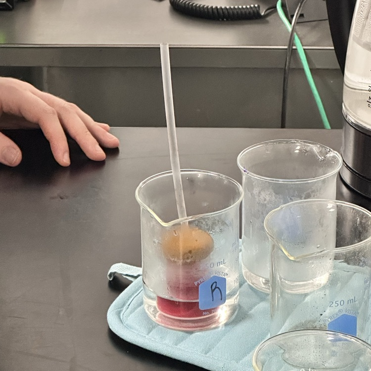 Thermometer lab at Valley Middle School 